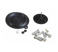 VAILLANT MEMBRANA CON PIATTELLO REVISIONE VALVOLA 010365 010357 CALDAIA VMW