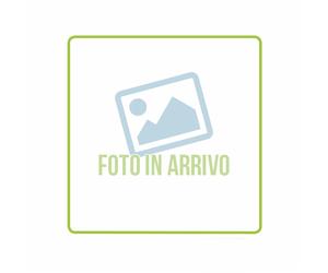 VAILLANT OE MENTA 10ML