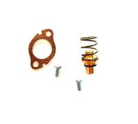 VAILLANT VALVOLA MANCANZA ACQUA SCALDABAGNO GAS GPL 115325 ORIGINALE