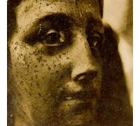 Elizabeth Anka Vajagic Stand With The Stillness Of This Day (Vinyl LP)