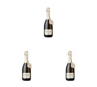 Valdo Cuvée del Fondatore Valdobbiadene Prosecco Superiore DOCG Millesimato, 750ml (Confezione da 3)