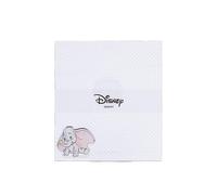 Valenti&Co - Disney Baby - Dumbo - Cornice Portafoto da Tavolo in Plexiglass con Applicazioni in Argento 3D a Colori, Ideale come Decorazione Cameretta Bambini (20x18 cm)