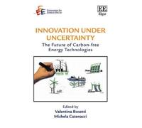 Valentina Bosetti Innovation under Uncertainty (Copertina rigida)
