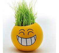 Valentine's Day Cool s Doll Creative Expression Mini Desktop Potted QQ Expression Gift to Send His Girlfriend Seeds ONLY