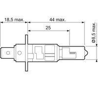 VALEO 032003 Lampadina, IN Curva Luce per ,Abarth, Alfa Romeo, Alpina, Audi, BMW