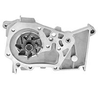 Valeo 506655 Pompa Acqua Auto