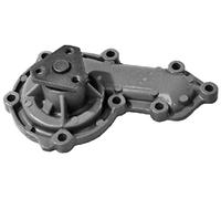 Valeo Pompa acqua 506732 per Land Rover Discovery/Defender
