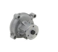 VALEO 529209 Pompa acqua
