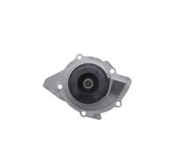 Valeo Water Pump - Citroen - C4 529210
