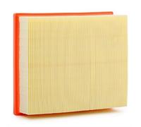 VALEO 585022 - Filtro aria per Clio II, Espace IV (JK), Laguna I, Laguna II, Vel Satis (BJ0)