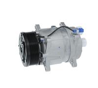 VALEO 690029 Compressore, Climatizzatore per SEAT,VW