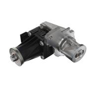 VALEO 703204 Valvola EGR per DACIA,INFINITI,MERCEDES-BENZ,NISSAN,RENAULT