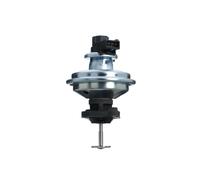 VALEO 703237 Valvola EGR per BMW,MINI