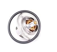 VALEO Termostato Liquido Refrigerante Con Guarnizioni 87°C per VW Golf V VI