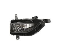 Fendinebbia VALEO 047418
