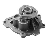 Valeo Pompa acqua 506837 – Raffreddamento motore per Alfa Romeo, Chevrolet, Fiat, Opel, Saab
