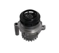 Valeo Pompa Acqua Pa Audi A3, Seat Ibiza, Vw Polo 506974