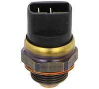 VALEO Termocontatto, Ventola radiatore 820202