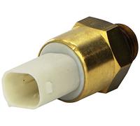Valeo Termocontatto, Ventola Radiatore 820316 | Compatibile con: BMW 3, 3 Cabriolet, 3 Compact, 3 Coupe, 3 Touring, 5, 5 Touring, 7, Z3 Coupe, Z3 Roadster
