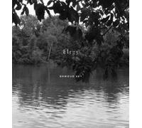 Dawoud Bey: Elegy