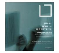 Losito, Valerio - Jubel, Schein, Bedeutung - Violinsonaten