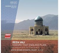 Vali, Reza - Toward That Endless Plain
