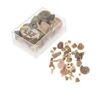 VALICLUD 1 Scatola Collezione di Campioni di Pietre Naturali in Scatola Compatta Specimen Minerali e Rocce Fossili Educativi per Insegnamento e Appassionati