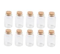 VALICLUD 10Pezzi Bottiglie Borosilicato con Tappi per Tè e Frutta Versatili e Leggere come