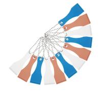 VALICLUD 12 pezzi Strumento Gratta Portatile Raschietto in Plastica Resistente per Biglietti Lotteria Etichette e Adesivi Multiuso e Leggero con Portachiavi per Uso Colore Casuale