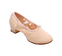 VALICLUD 1paio Scarpe da Ballo Basse Tela per Pratica e Performance Scarpette per Yoga Danza Folkloristica e Balletto Taglia