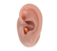 VALICLUD 1pezzi Orecchio in Silicone per Piercing Display e Pratica Didattica Design Realistico e Duraturo