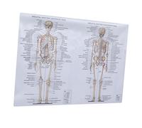 VALICLUD 1pezzi Poster Di Anatomia Umana Immagine Di Anatomia Muscolare Corpo Umano Dipinto Della Struttura Del Corpo Immagine Didattica Scheletrica