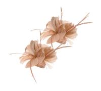 VALICLUD 2pezzi Plume Hair Clips Fermagli Per Matrimoni e Boho Accessori Chic Per