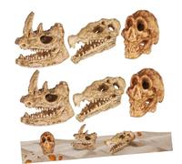 VALICLUD 6 pezzi Teschi Animali Realistici in Plastica Decorazione per Vasca e Complementi Desktop Miniature di Cranio di Scimmia Coccodrillo e Rinoceronte Accessori Resistenti e Compatti