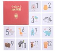 VALICLUD Adesivi Milestone Sticker Memo Decorativo in Rame Set 12 Pezzi per Ragazzo Ragazza Accessori Fotografici per Feste Shower e Ricordo Crescita Mensile