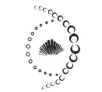 VALICLUD Kit Espansione Orecchio in Acrilico con Pendenti Corno Bue Coni Punk per Piercing e Tunnel Adatto e Donne e Veloce per Feste e Cosplay