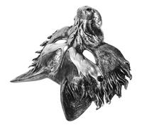 VALICLUD Maschera da Volpe 3D in Schiuma Pu Nera Dettagli Argento, Maschera da Travestimento Leggera e Traspirante per Adulti, Accessorio per Feste di Halloween e Carnevale