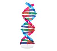 VALICLUD Modello Dna Doppia Spirale Kit Educativo per Biologia Molecolare e Genetica Facile da Assemblare per Scuola Laboratorio e Didattica Scientifica