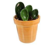 VALICLUD Set Cucchiai Dosatori a Forma Cactus Base in 5 Pezzi Misurini Precisi per Ingredienti Secchi e Umidi Utensili Decorativi per Amanti dei Cactus