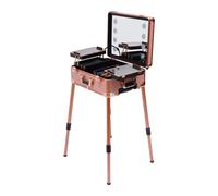 Valigetta cosmetica trolley, 3 in 1, organizer professionale per trucchi con serratura in alluminio, con specchio, illuminazione, gambe, ripiani estraibili e rotelle, per cosmetologi e parrucchieri