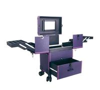 Valigetta da viaggio per trucchi con ruote, trolley per trucchi professionale con cassetti, grande valigetta in alluminio, per bigodini, set di pennelli e cosmetici