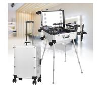 Valigetta For Il Trucco Con Rotelle E Specchio Luminoso, Valigetta For Cosmetici Da Studio Regolabile Con Luci, Valigette For Cosmetici Di Grande Capacità For I Viaggi(Silver,22in)