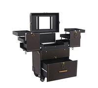 Valigetta professionale per trucchi, per artisti e parrucchieri, grande capacità, organizer da viaggio con specchio, per scuola e salone, Curry scuro.