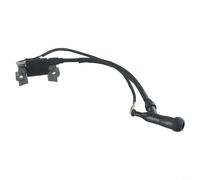 Valixirant Bobina di accensione generatore 168F/170F 2KW-3KW Motori per motosega - Nucleo, componente di accensione ad alta scintilla, compatibile con attrezzature agricole e forestali (168/170)