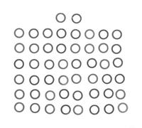 Valixirant Set di guarnizioni di regolazione per mulinello da pesca e viti di bloccaggio M2.5, riparazione maniglia bilanciere - Kit di fissaggio in acciaio da 50 pezzi per mulinello e pesca fai da te