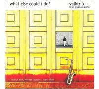 Valktrio - What Else Could I Do?