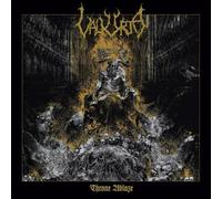 Doctor Who: Peter Davison: Complete Season One