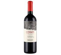 Valle de Colchagua DO Coyam Emiliana 2020, 0,75 ℓ