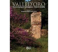Valle d'Oro. Parco archeologico e paesaggistico. Studio di fattibilità
