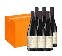 Vallebelbo Le Filere Barbera dAsti DOCG x 6